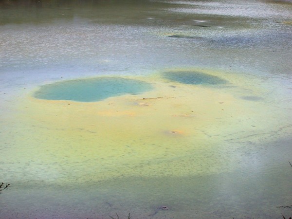 Artist's Palette